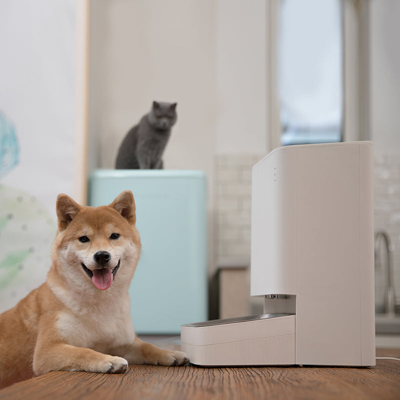 Xiaomi Smart - Pet Food feeder