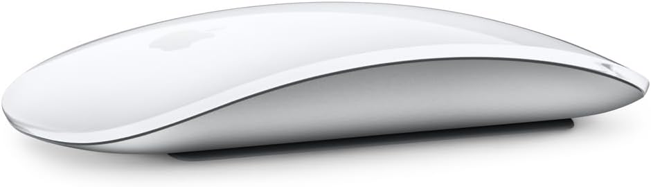 APPLE MAGIC MOUSE USB-C MULTI TOUCH